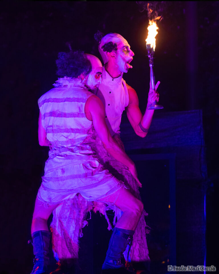 PSIKE. Espectáculo de teatro de calle de gran formato nocturno. Spectacle de théâtre de rue grand format pour la soirée. 