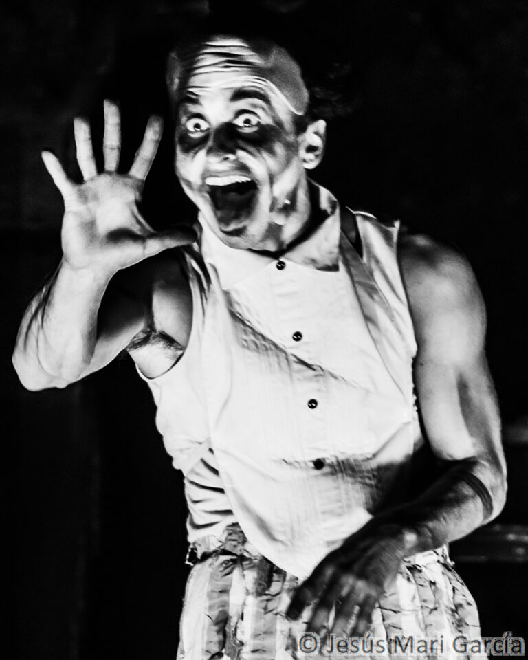 PSIKE. Espectáculo de teatro de calle de gran formato nocturno. Spectacle de théâtre de rue grand format pour la soirée. 