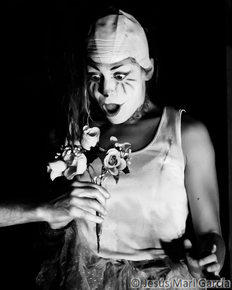 PSIKE. Espectáculo de teatro de calle de gran formato nocturno. Spectacle de théâtre de rue grand format pour la soirée. 